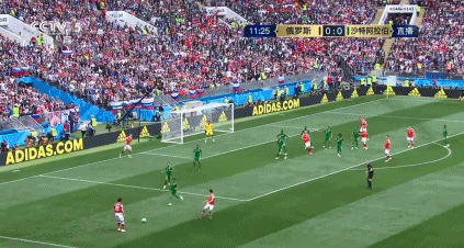 施伦克与球 施伦克与球