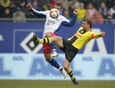 世界展示属 世界展示属